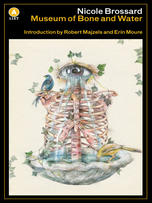 Title details for Museum of Bone and Water by Nicole Brossard - Available